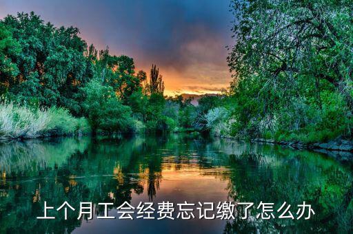 上個(gè)月工會經(jīng)費(fèi)忘記繳了怎么辦