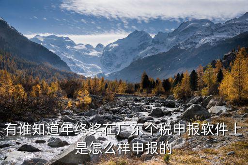 全年一次年終獎(jiǎng)軟件如何申報(bào)，有誰(shuí)知道年終獎(jiǎng)在廣東個(gè)稅申報(bào)軟件上是怎么樣申報(bào)的