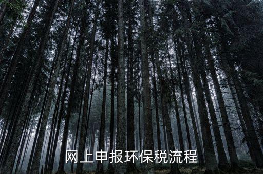 電子稅務(wù)局環(huán)保稅如何申報，2021年環(huán)保稅怎么申報