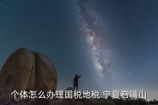 寧夏個稅如何申報，個體怎么辦理國稅地稅 寧夏石嘴山