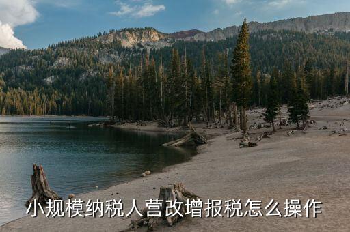 營改增后建筑業(yè)小規(guī)模納稅人如何報(bào)稅，營改增后小規(guī)模的怎么報(bào)稅