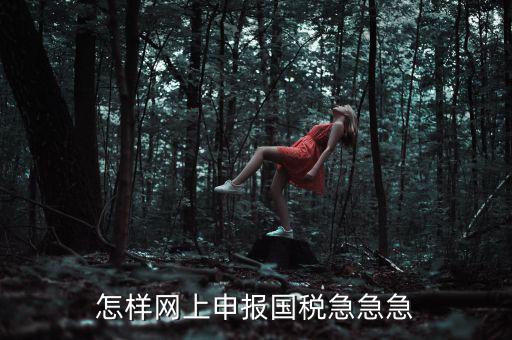 國稅網(wǎng)上稅務(wù)如何申報，怎樣網(wǎng)上申報國稅急急急