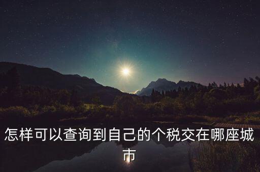 如何查詢個(gè)人所得稅所交地點(diǎn)，怎樣可以查詢到自己的個(gè)稅交在哪座城市
