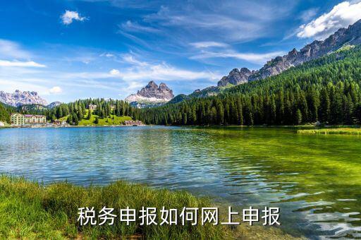 自然人如何網(wǎng)上報稅，稅務(wù)申報如何網(wǎng)上申報