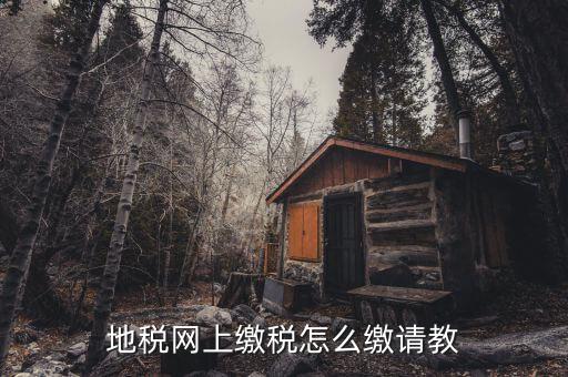 地稅如何交稅嗎，地稅網(wǎng)上繳稅怎么繳請教