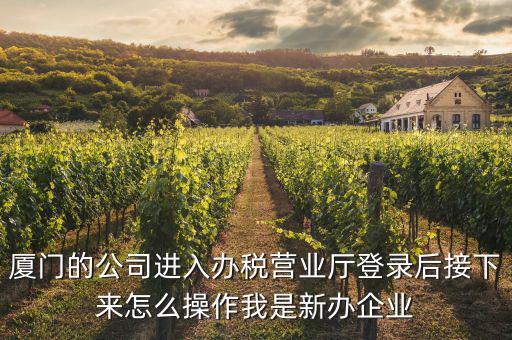 廈門公司如何辦理稅務(wù)，廈門公司如何申請(qǐng)一般納稅人