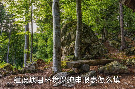 建設(shè)項目環(huán)境保護申報表怎么填
