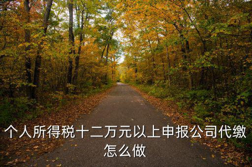 如何做好12萬元申報征收工作，個人所得稅十二萬元以上申報公司代繳怎么做