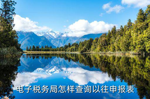云廳里如何查看往期申報(bào)表，國(guó)稅網(wǎng)上辦稅平臺(tái)如何查詢以前年度增值稅納稅申報(bào)表