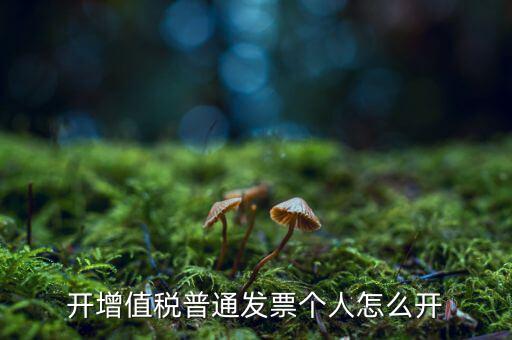 普票如何開給個人，增值稅普通發(fā)票開個人需要什么資料
