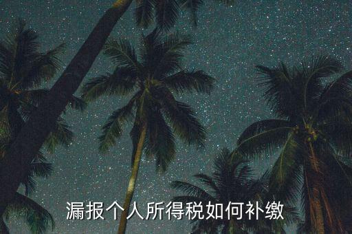 安徽省個稅如何補充申報，漏報個人所得稅如何補繳