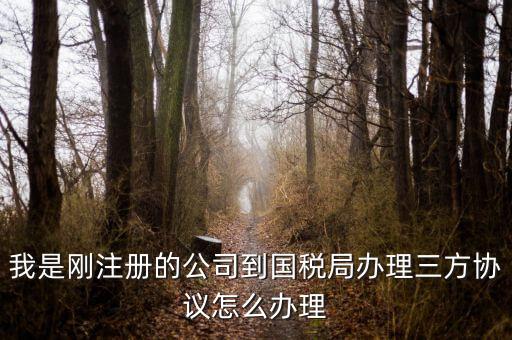 如何激活稅務(wù)三方協(xié)議，稅務(wù)三方協(xié)議怎樣激活