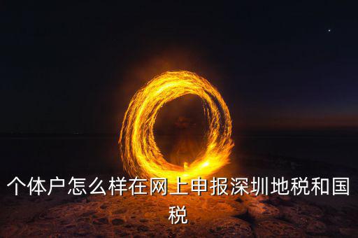 深圳市個(gè)稅如何申報(bào)系統(tǒng)，個(gè)體戶怎么樣在網(wǎng)上申報(bào)深圳地稅和國稅