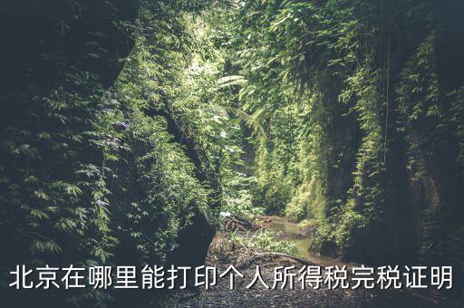 北京如何打個稅證明，北京買房 如何開個稅證明