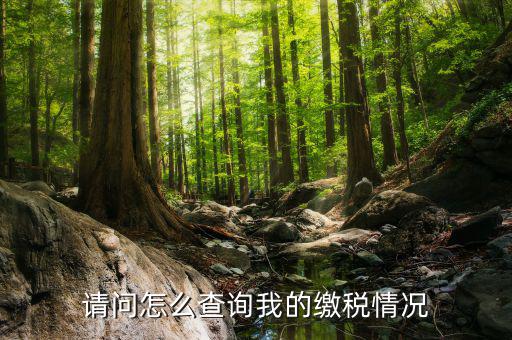 繳納稅款如何查詢，請問怎么查詢我的繳稅情況