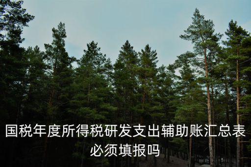 研發(fā)支出輔助賬匯總表該如何填寫，什么企業(yè)需要填 研發(fā)支出輔助賬匯總表