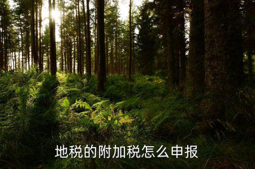 地稅附加稅如何申報(bào)表，城建稅教育費(fèi)附加地方教育附加稅申報(bào)表怎么填