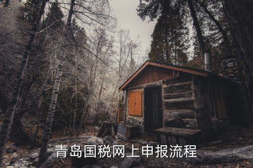 青島國地稅如何申報，國稅怎么申報