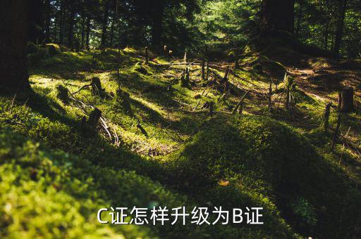 納稅信用如何升為b級，C證怎樣升級為B證