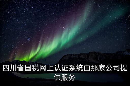 四川省國稅網上認證系統(tǒng)由那家公司提供服務