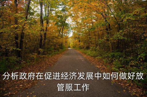 如何做好國稅系統(tǒng)的放管服工作，分析政府在促進經(jīng)濟發(fā)展中如何做好放管服工作