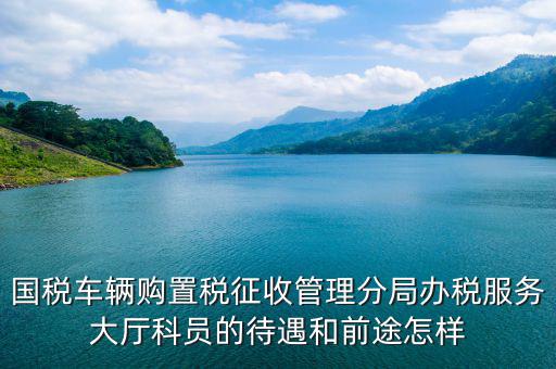 辦稅員工資如何，國(guó)稅車(chē)輛購(gòu)置稅征收管理分局辦稅服務(wù)大廳科員的待遇和前途怎樣