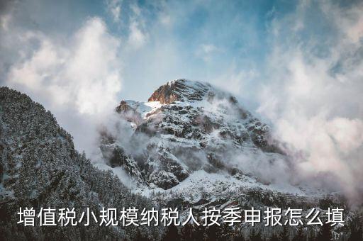 小規(guī)模納稅人如何按季申報(bào)，增值稅小規(guī)模納稅人按季申報(bào)怎么填