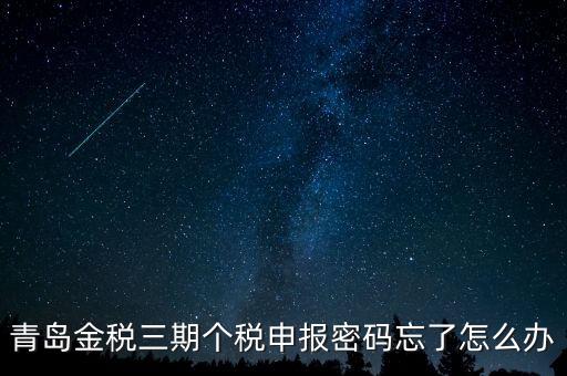 如何重置金三個(gè)稅系統(tǒng)申報(bào)密碼，青島金稅三期個(gè)稅申報(bào)密碼忘了怎么辦