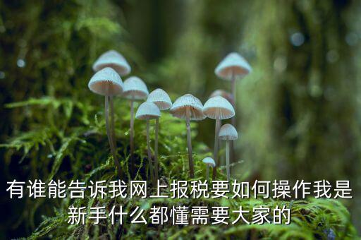 黑龍江如何報稅，黑龍江報稅