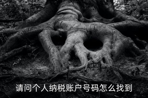 如何查詢個(gè)人稅務(wù)編號(hào)查詢，如何查看個(gè)人名下的稅務(wù)證