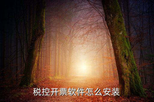 稅友稅控軟件如何安裝，稅控開票軟件怎么安裝