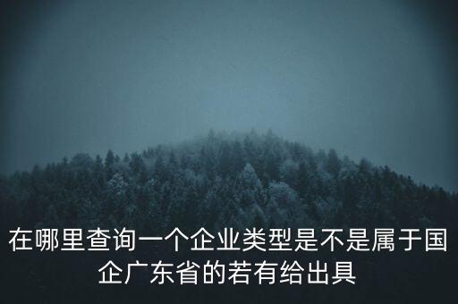 在哪里查詢一個(gè)企業(yè)類型是不是屬于國企廣東省的若有給出具