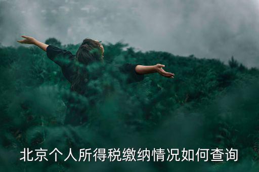 北京地稅個(gè)人如何查詢，如何查詢個(gè)人所得稅繳稅記錄