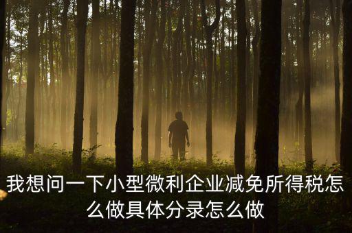 小微企業(yè)所得稅如何減免，我想問一下小型微利企業(yè)減免所得稅怎么做具體分錄怎么做