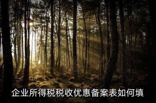 如何填寫(xiě)企業(yè)所得稅優(yōu)惠事項(xiàng)備案表，企業(yè)所得稅減免稅備案表填寫(xiě)