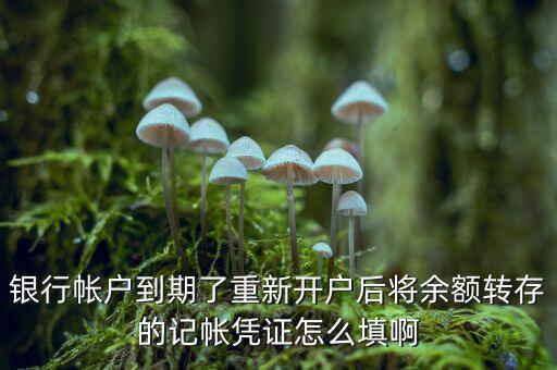 銀行帳戶到期了重新開(kāi)戶后將余額轉(zhuǎn)存的記帳憑證怎么填啊