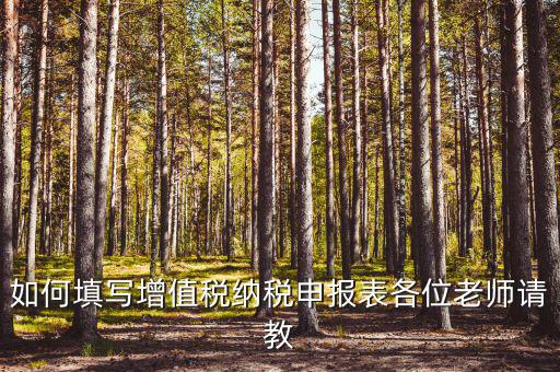 增值稅納稅申報表如何填報，增值稅申報表如何填寫