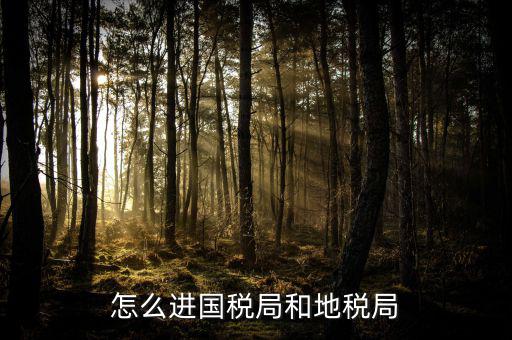 山西國(guó)稅系統(tǒng)如何進(jìn)入地稅，怎么進(jìn)國(guó)稅局和地稅局