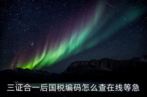 個(gè)人稅務(wù)編號(hào)如何查，請(qǐng)問在哪里可以查到納稅人編碼