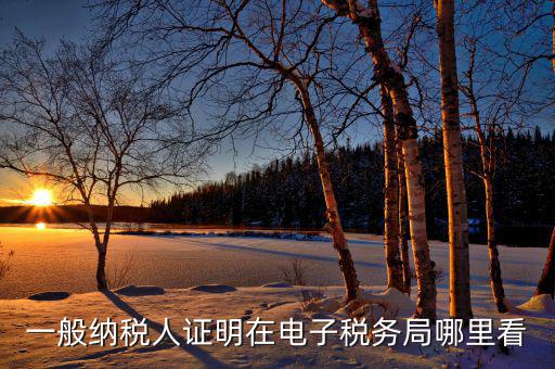 電子稅務(wù)局如何查詢稅務(wù)登記證，一般納稅人證明在電子稅務(wù)局哪里看