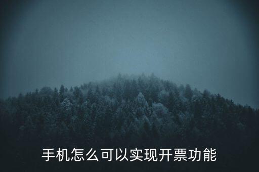 手機(jī)怎么可以實現(xiàn)開票功能