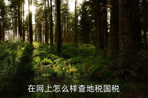 如何在國稅局網(wǎng)站進入地稅，網(wǎng)上申報地稅具體怎么操作請高手指點