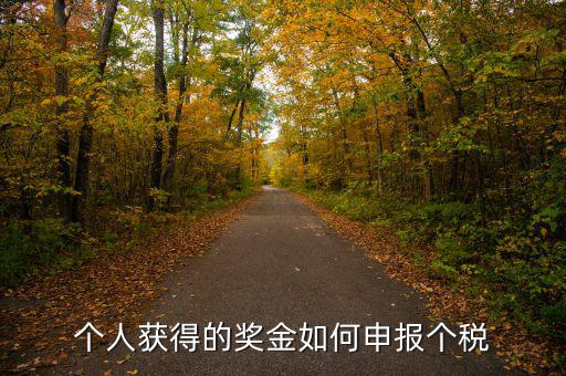 如何將獎金的稅款繳納至稅務(wù)局，個人獲得的獎金如何申報個稅