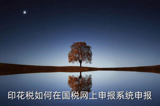 如何在網(wǎng)上申報(bào)安徽印花稅，如何在網(wǎng)上進(jìn)行印花稅的申報(bào)和繳納