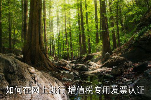 增值稅專用票如何在網(wǎng)上申請，購買增值稅專用發(fā)票要先在網(wǎng)上怎么操作
