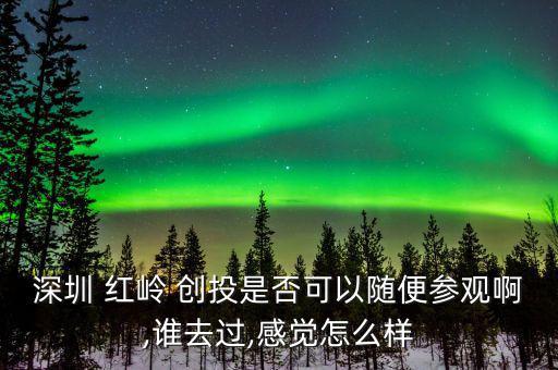 紅嶺創(chuàng)投實(shí)力怎么樣,點(diǎn)對點(diǎn)借貸平臺分為兩個(gè)產(chǎn)品