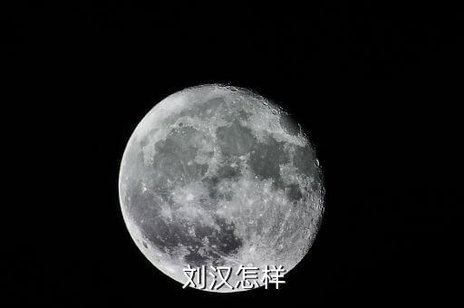 劉漢資產(chǎn)怎么處理,劉漢，四川漢龍集團原董事長