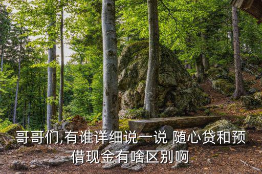 哥哥們,有誰(shuí)詳細(xì)說一說 隨心貸和預(yù)借現(xiàn)金有啥區(qū)別啊