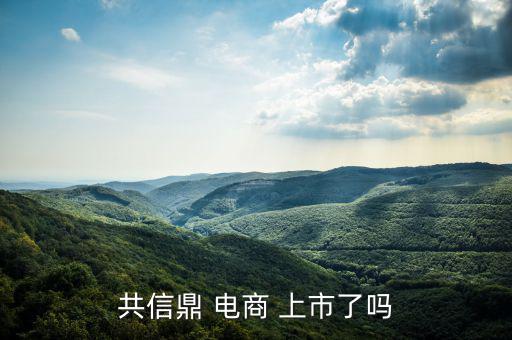 電商怎么上市,南極電商在納斯達克上市騰訊、慧聰網(wǎng)香港上市