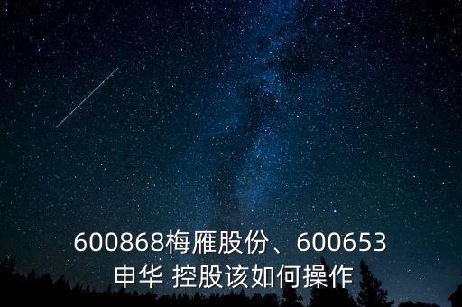 600868梅雁股份、600653 申華 控股該如何操作